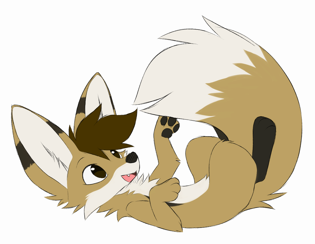 Kobaj is having a fun time batting at his big fluffy tail.