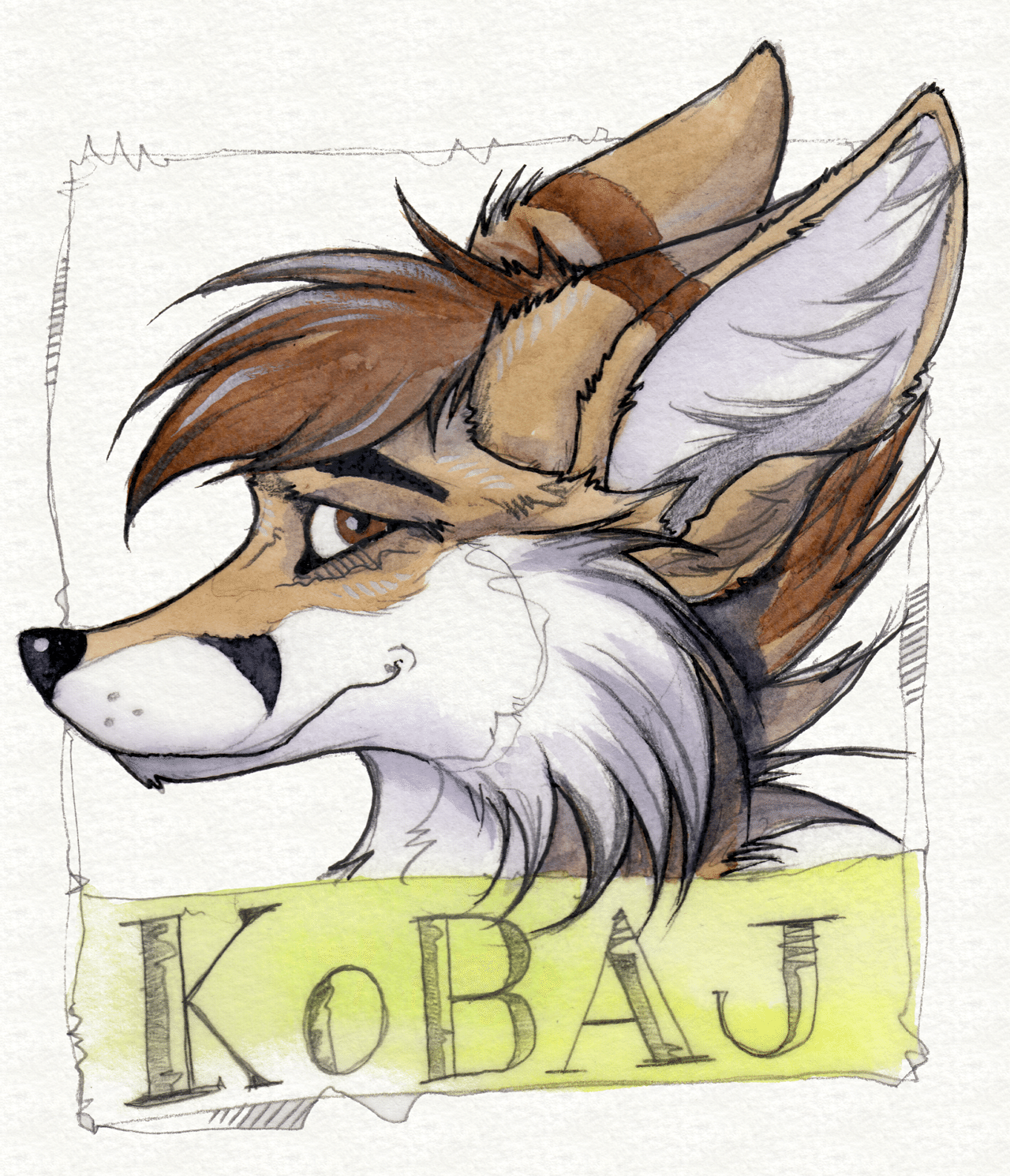 Kobaj giving you a nervous sideon grin.