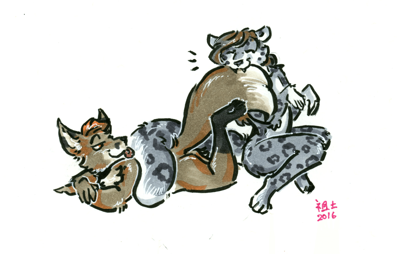 Aubirb has caught Kobaj's tail.