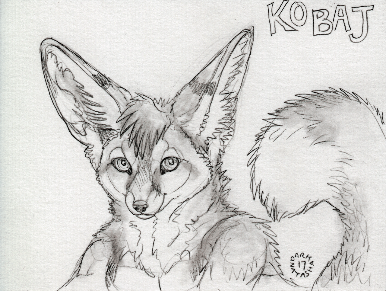 Kobaj looking at you looking at him.