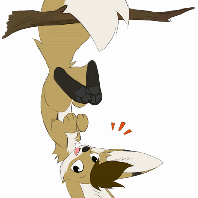 Kobaj is being a little goober by hanging upside down from a tree branch.