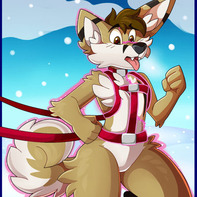 Kobaj transforming into a husky after putting on a sled harness.