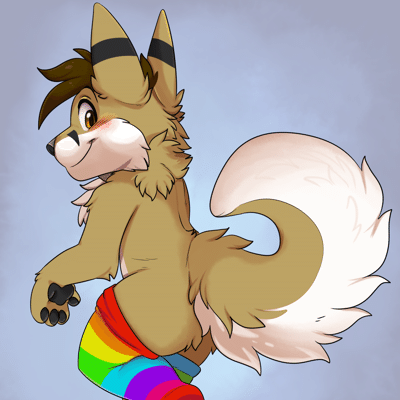 Kobaj wearing rainbow programmer socks and showing off his curly tail.
