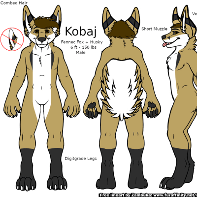 Original reference of Kobaj as a fuskie showing off his markings and attributes.